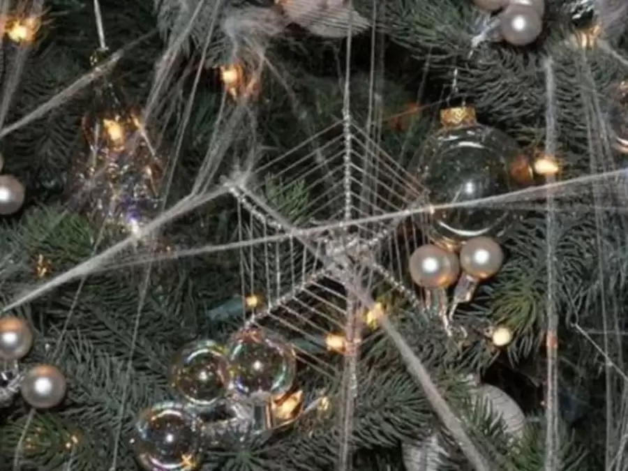 Ucrania no les teme a las telarañas.