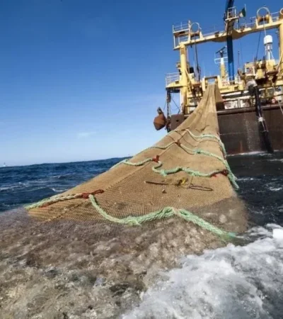 La pesca ilegal que amenaza la Zona Económica Exclusiva se ha tornado un problema de seguridad nacional.