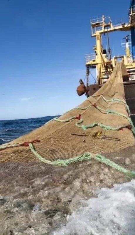 La pesca ilegal que amenaza la Zona Económica Exclusiva se ha tornado un problema de seguridad nacional.