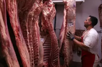 China anunció una investigación y causó el pánico en Argentina y Brasil