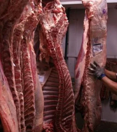 La investigación genera cuestionamientos por ser un mercado estratégico de carnes de exportación.