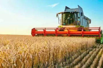 Califican de manejos erróneos la causa del default de grandes empresas cerealeras