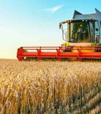 Ganar o perder con la actividad agrícola   /