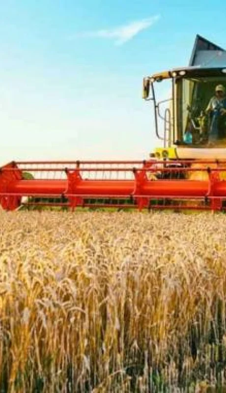 Ganar o perder con la actividad agrícola   /