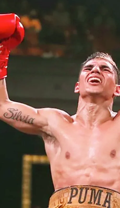 El Puma no podrá combatir