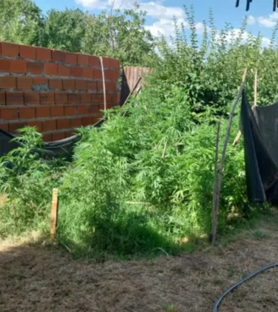 El Juzgado Federal de Santa Rosa tomó inversión en el caso.