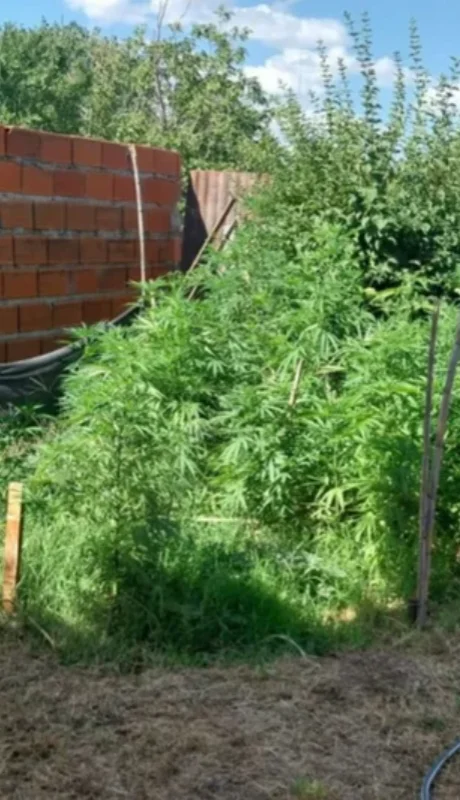 El Juzgado Federal de Santa Rosa tomó inversión en el caso.