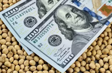 El agro ingresó más de US$ 25.000 millones por exportaciones en 2024