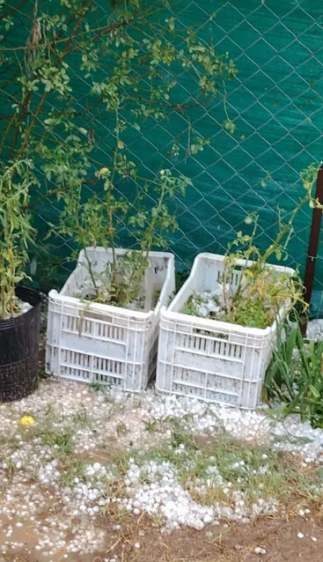 Una intensa granizada sacudió Maipú, Junín y Luján de Cuyo