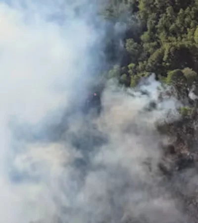 Policías y brigadistas analizan estrategias para terminar con  el fuego.