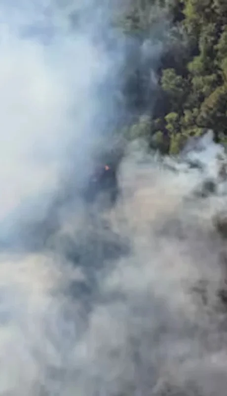 Policías y brigadistas analizan estrategias para terminar con  el fuego.