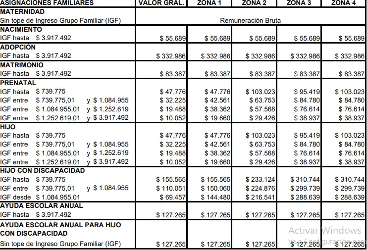 Toda la información fue publicada en la Resolución 1239/2024