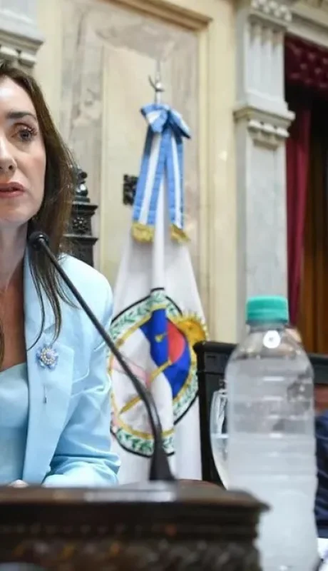 Villarruel congeló los sueldos de senadores hasta el 31 de marzo