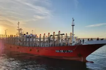 Partió la primera oleada de buques poteros en busca del codiciado Illex argentinus