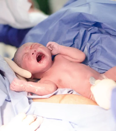 La Generación Beta, hasta el 2049