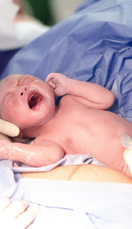 La Generación Beta, hasta el 2049