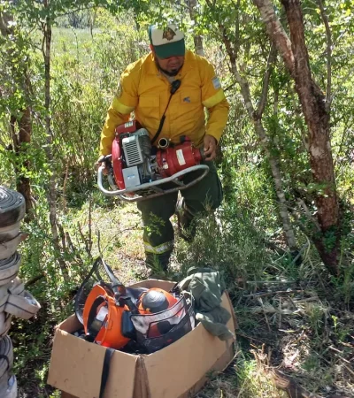 incendio en los manzanos