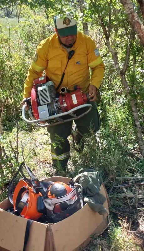 incendio en los manzanos