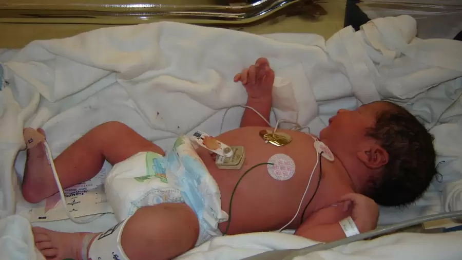 Para evitar que el niño nazca atacado por el virus sinicial respiratorio, la madre debería vacunarse entre las 32 y las 36 semanas de embarazo.