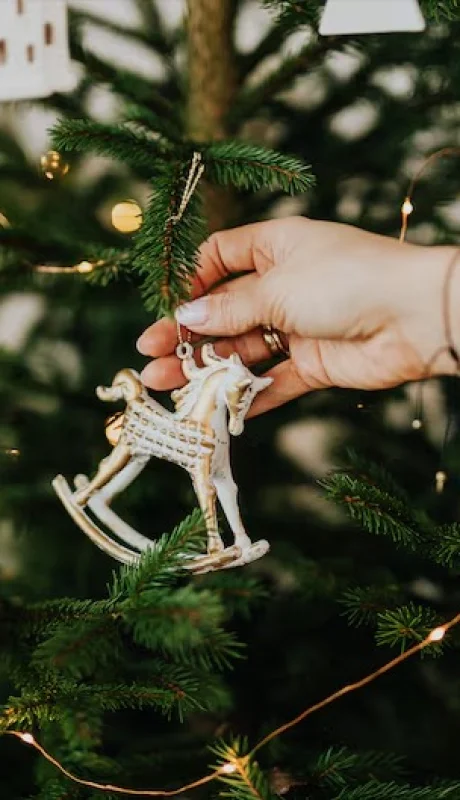 Algunos desarman el árbol tras el día de Reyes