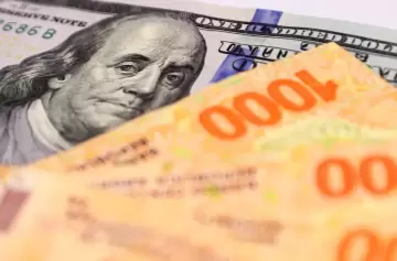 ¿Te sobran unos pesos y no sabés en qué invertir? Dólar vs. plazo fijo en el 2025