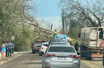 Alerta por tormentas y ráfagas superiores a 120 km/h en cuatro provincias