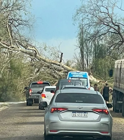 La alerta por tormentas y ráfagas de viento fuerte advierte a los ciudadanos ante posibles caídas de árboles.
