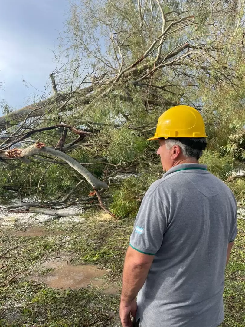 La tormenta azotó al sur provincial.