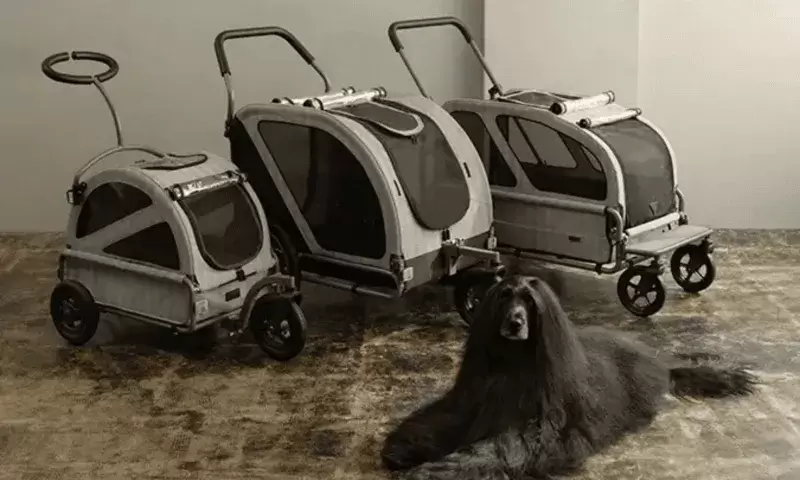 Cochecitos para mascotas en auge en Corea del Sur.