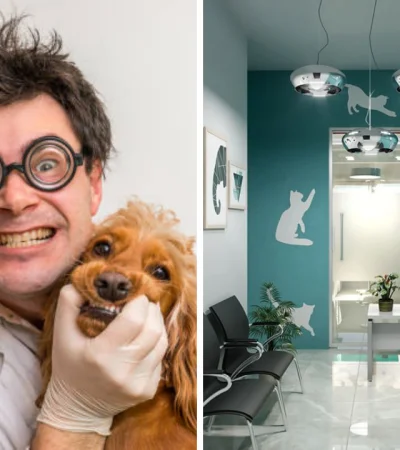 Diseño e imagen ilustrativa.