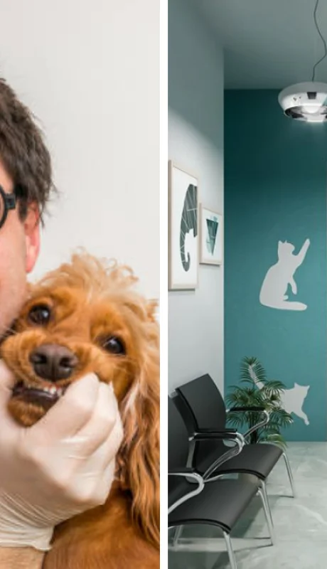 Diseño e imagen ilustrativa.