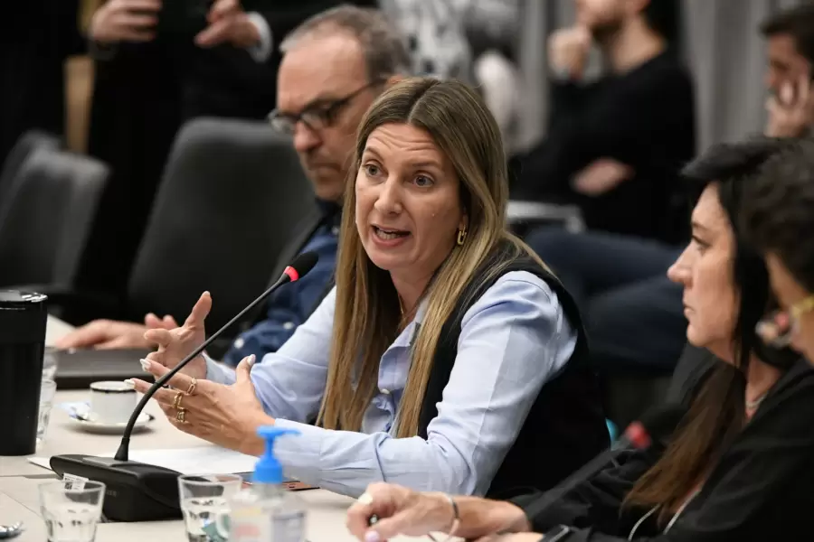 Silvana Lospennato, autora del proyecto de Ficha Limpia