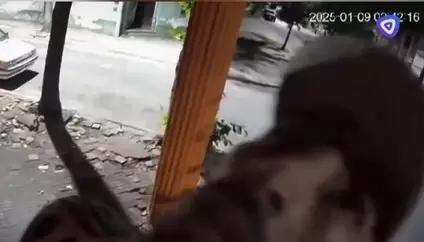 El rostro en primerísimo primer plano de uno de los ladrones mimosos.