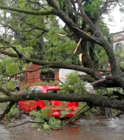 Imagen ilustrativa (web)