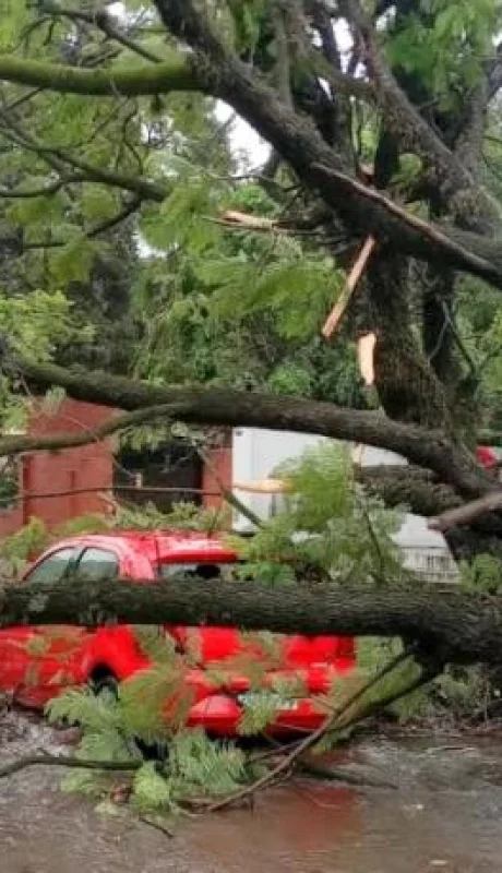 Imagen ilustrativa (web)