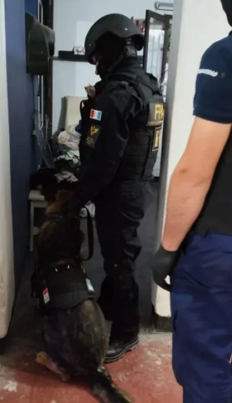 Entre los detenidos hay una mujer policía.