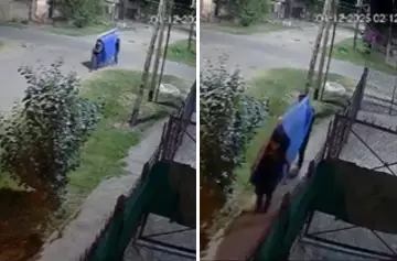 Al hombro y corriendo, dos delincuentes se robaron una pileta de local