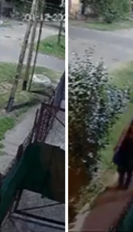 Robo de una pileta de lona en Quilmes.