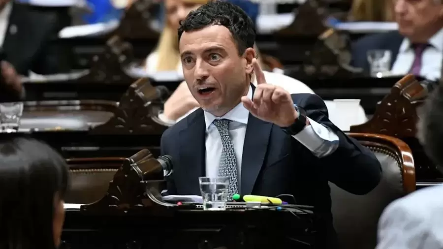 UCR, oposición blanda