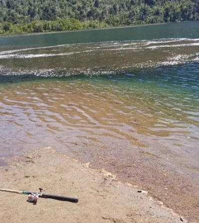 El fenómeno podría tratarse de una erupción límnica.