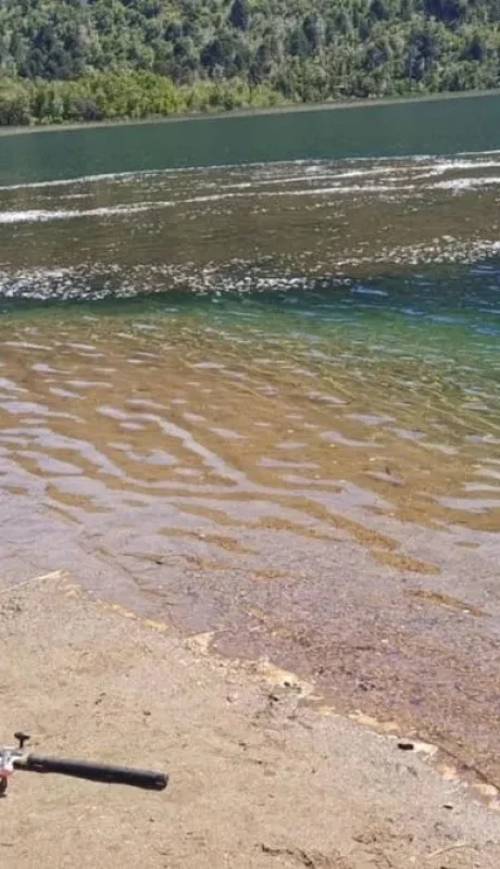 El fenómeno podría tratarse de una erupción límnica.
