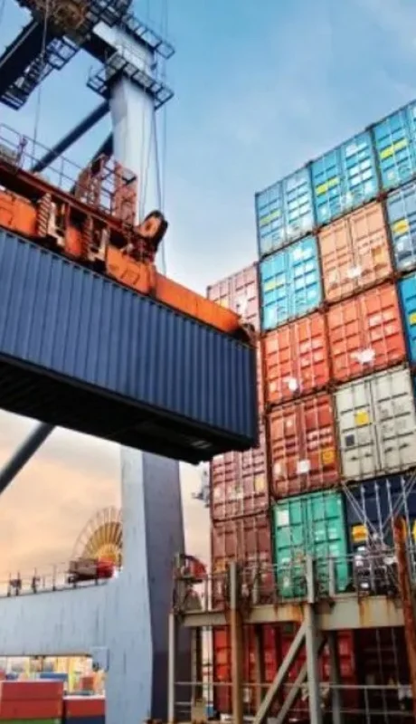 Los alimentos más importados son cebollas, zanahorias, tomates y  limones.