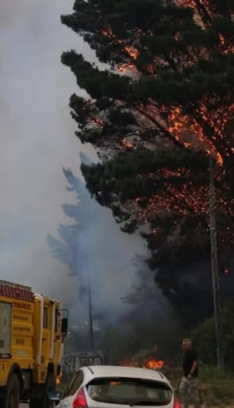 Las autoridades confirmaron que el fuego alcanzó el edificio de la escuela N° 9, y destruyó al menos cuatro viviendas.