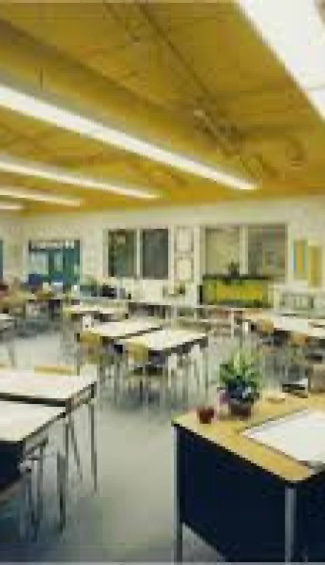 El distrito escolar de Middle Township quedó perplejo por la revelación del caso.