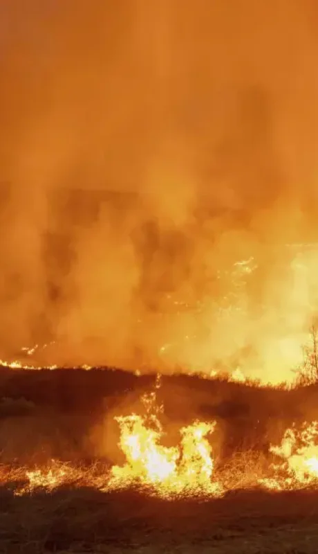 Pese a descender la fuerza de las ráfagas de fuego, la situación de los habitantes de Los Ángeles sigue siendo desesperante.