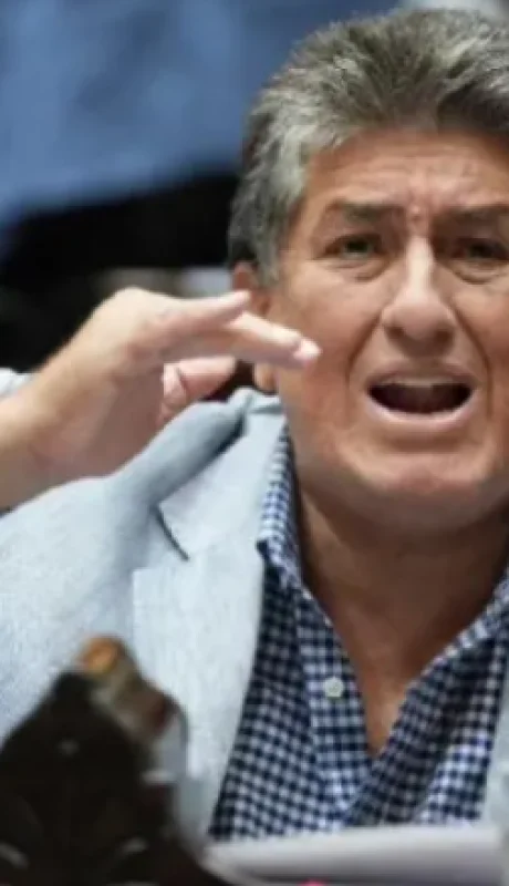 Diputado Manuel Aguirre.