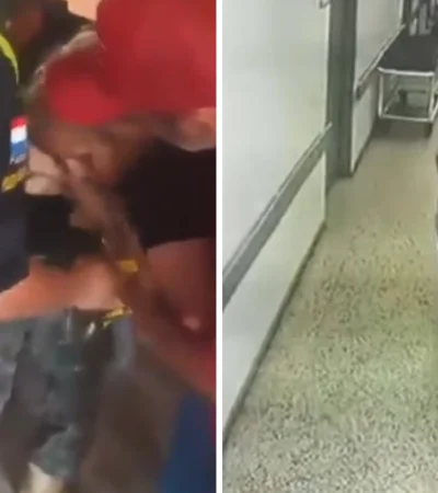 El bebé está perfecto estado de salud.