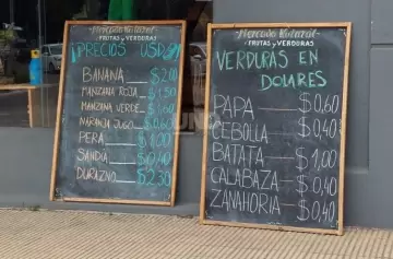 Los pagos en dólares y lo que busca el Gobierno detrás de la medida