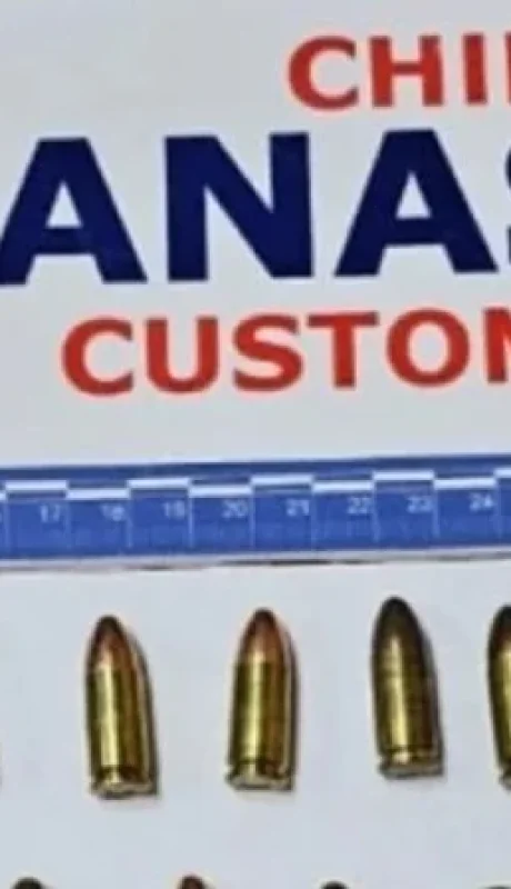 Las municiones incautadas