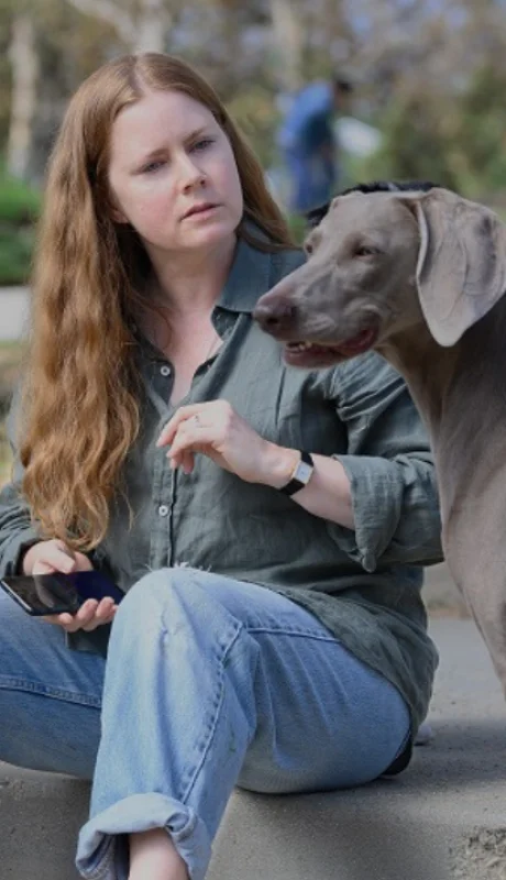 Estrenos en streaming para esta semana: lo nuevo en Netflix, Prime Video, Disney+ y más